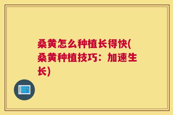 桑黄怎么种植长得快(桑黄种植技巧：加速生长)
