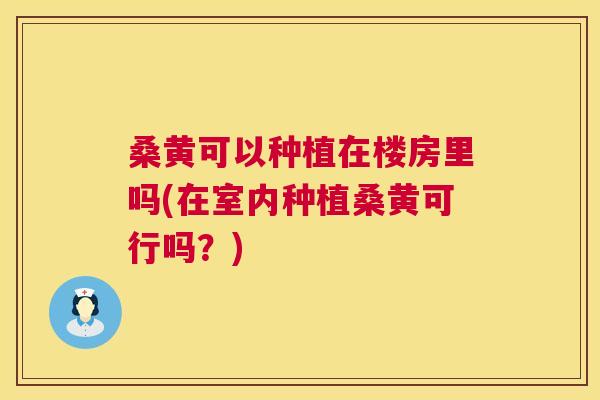 桑黄可以种植在楼房里吗(在室内种植桑黄可行吗?) 桑黄可以种植在楼房里吗(在室内种植桑黄可行吗?)