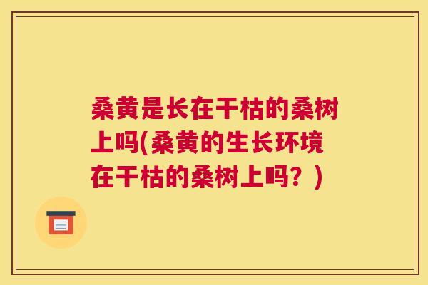桑黄是长在干枯的桑树上吗(桑黄的生长环境在干枯的桑树上吗?) 桑黄是长在干枯的桑树上吗(桑黄的生长环境在干枯的桑树上吗?)