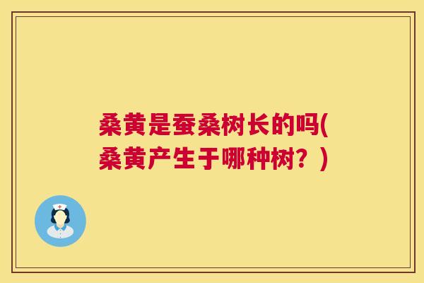 桑黄是蚕桑树长的吗(桑黄产生于哪种树?) 桑黄是蚕桑树长的吗(桑黄产生于哪种树?)