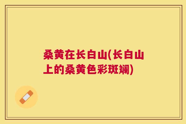 桑黄在长白山(长白山上的桑黄色彩斑斓) 桑黄在长白山(长白山上的桑黄色彩斑斓)