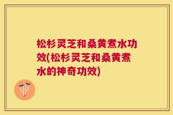 松杉灵芝和桑黄煮水功效(松杉灵芝和桑黄煮水的神奇功效)