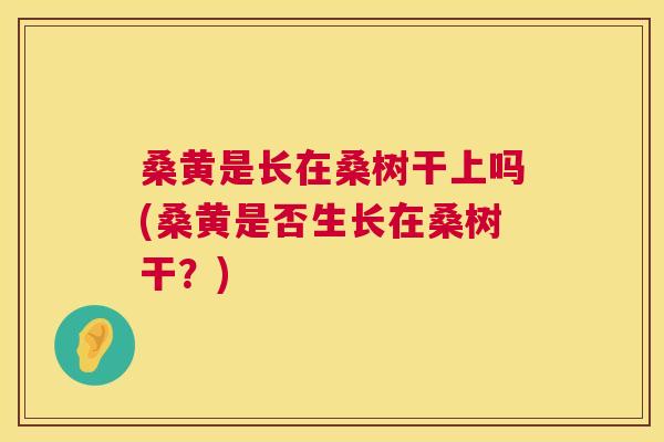 桑黄是长在桑树干上吗(桑黄是否生长在桑树干?) 桑黄是长在桑树干上吗(桑黄是否生长在桑树干?)