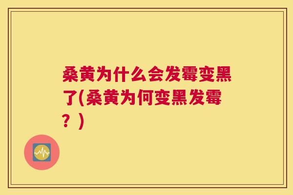 桑黄为什么会发霉变黑了(桑黄为何变黑发霉?) 桑黄为什么会发霉变黑了(桑黄为何变黑发霉?)