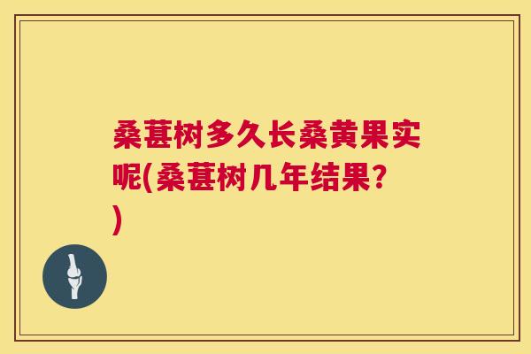 桑葚树多久长桑黄果实呢(桑葚树几年结果？)