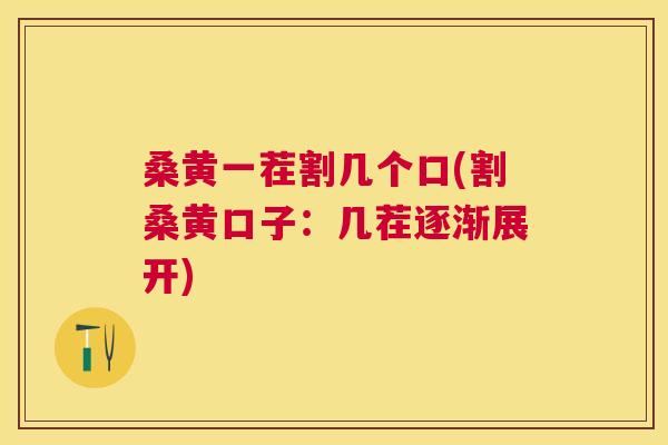 桑黄一茬割几个口(割桑黄口子:几茬逐渐展开) 桑黄一茬割几个口(割桑黄口子:几茬逐渐展开)