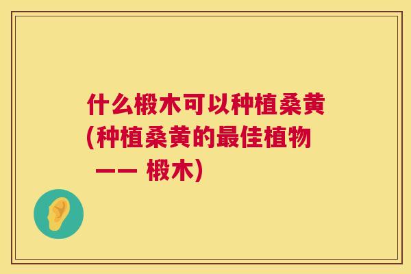 什么椴木可以种植桑黄(种植桑黄的佳植物 —— 椴木) 什么椴木可以种植桑黄(种植桑黄的佳植物 —— 椴木)