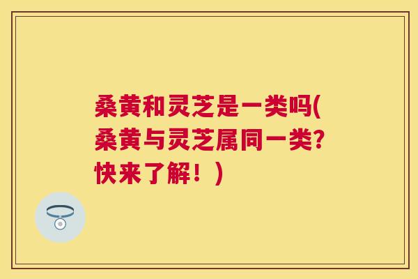 桑黄和灵芝是一类吗(桑黄与灵芝属同一类?快来了解!) 桑黄和灵芝是一类吗(桑黄与灵芝属同一类?快来了解!)