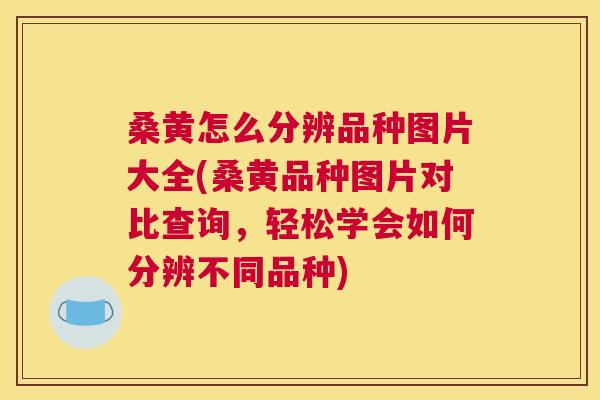 桑黄怎么分辨品种图片大全(桑黄品种图片对比查询，轻松学会如何分辨不同品种)