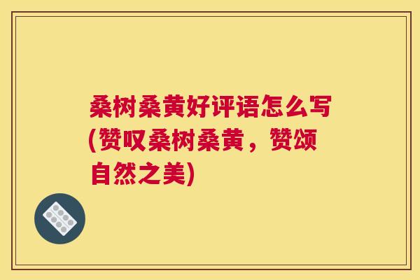 桑树桑黄好评语怎么写(赞叹桑树桑黄,赞颂自然之美) 桑树桑黄好评语怎么写(赞叹桑树桑黄,赞颂自然之美)