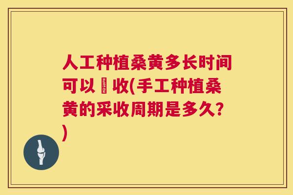 人工种植桑黄多长时间可以釆收(手工种植桑黄的采收周期是多久?) 人工种植桑黄多长时间可以釆收(手工种植桑黄的采收周期是多久?)