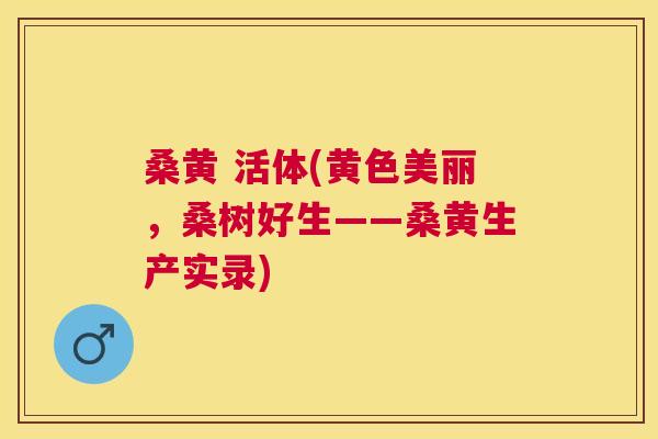 桑黄 活体(黄色美丽,桑树好生——桑黄生产实录) 桑黄 活体(黄色美丽,桑树好生——桑黄生产实录)