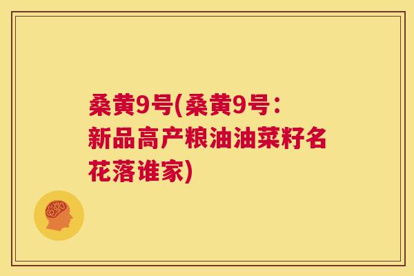 桑黄9号(桑黄9号:新品高产粮油油菜籽名花落谁家) 桑黄9号(桑黄9号:新品高产粮油油菜籽名花落谁家)