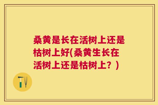 桑黄是长在活树上还是枯树上好(桑黄生长在活树上还是枯树上?) 桑黄是长在活树上还是枯树上好(桑黄生长在活树上还是枯树上?)