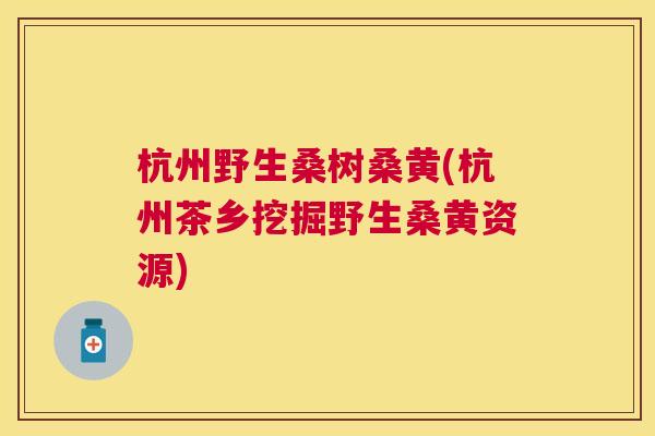 杭州野生桑树桑黄(杭州茶乡挖掘野生桑黄资源) 杭州野生桑树桑黄(杭州茶乡挖掘野生桑黄资源)