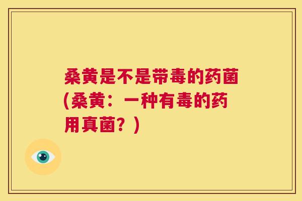 桑黄是不是带毒的药菌(桑黄:一种有毒的药用真菌?) 桑黄是不是带毒的药菌(桑黄:一种有毒的药用真菌?)