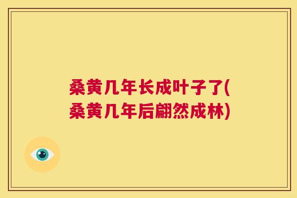 桑黄几年长成叶子了(桑黄几年后翩然成林) 桑黄几年长成叶子了(桑黄几年后翩然成林)