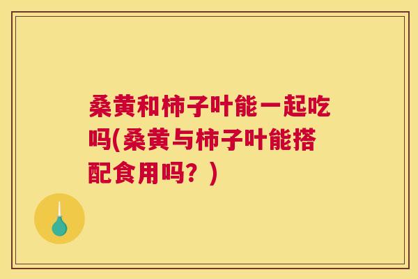 桑黄和柿子叶能一起吃吗(桑黄与柿子叶能搭配食用吗?) 桑黄和柿子叶能一起吃吗(桑黄与柿子叶能搭配食用吗?)