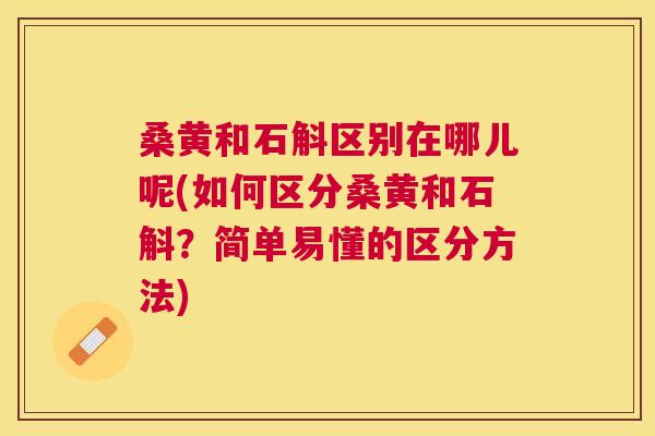 桑黄和石斛区别在哪儿呢(如何区分桑黄和石斛?简单易懂的区分方法) 桑黄和石斛区别在哪儿呢(如何区分桑黄和石斛?简单易懂的区分方法)