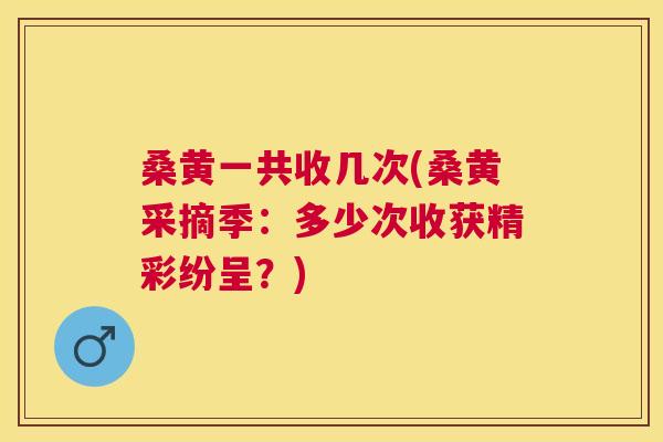 桑黄一共收几次(桑黄采摘季:多少次收获精彩纷呈?) 桑黄一共收几次(桑黄采摘季:多少次收获精彩纷呈?)