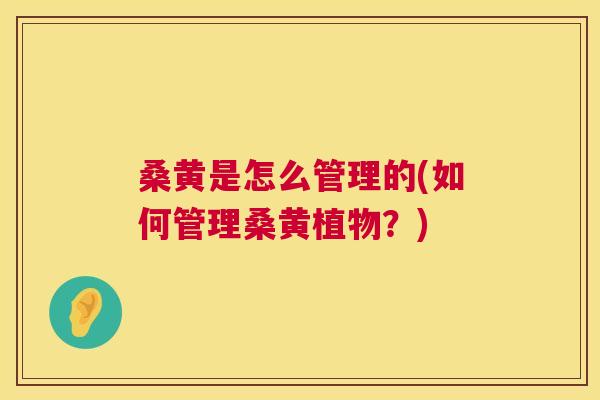 桑黄是怎么管理的(如何管理桑黄植物?) 桑黄是怎么管理的(如何管理桑黄植物?)