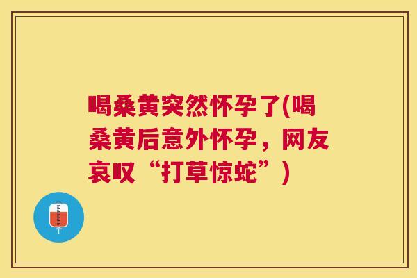 喝桑黄突然怀孕了(喝桑黄后意外怀孕,网友哀叹“打草惊蛇”) 喝桑黄突然怀孕了(喝桑黄后意外怀孕,网友哀叹“打草惊蛇”)