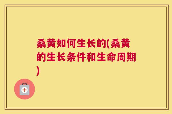 桑黄如何生长的(桑黄的生长条件和生命周期) 桑黄如何生长的(桑黄的生长条件和生命周期)