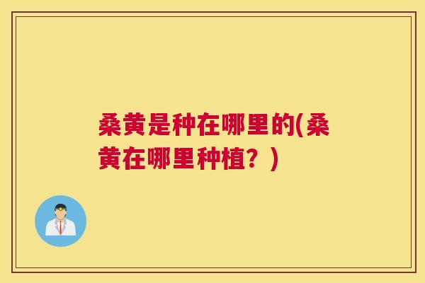 桑黄是种在哪里的(桑黄在哪里种植?) 桑黄是种在哪里的(桑黄在哪里种植?)