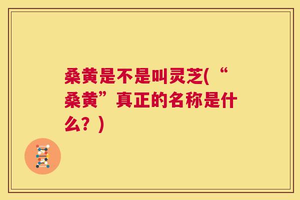 桑黄是不是叫灵芝(“桑黄”真正的名称是什么?) 桑黄是不是叫灵芝(“桑黄”真正的名称是什么?)