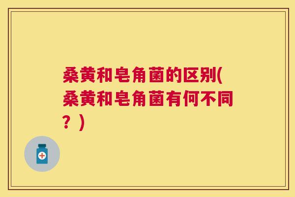 桑黄和皂角菌的区别(桑黄和皂角菌有何不同?) 桑黄和皂角菌的区别(桑黄和皂角菌有何不同?)
