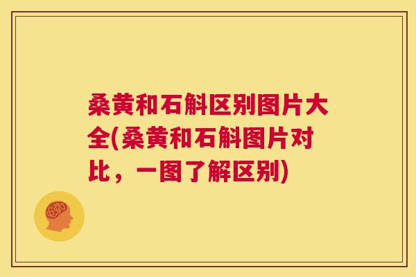 桑黄和石斛区别图片大全(桑黄和石斛图片对比,一图了解区别) 桑黄和石斛区别图片大全(桑黄和石斛图片对比,一图了解区别)