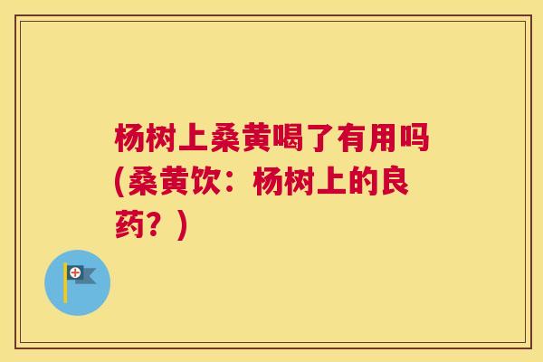 杨树上桑黄喝了有用吗(桑黄饮:杨树上的良药?) 杨树上桑黄喝了有用吗(桑黄饮:杨树上的良药?)