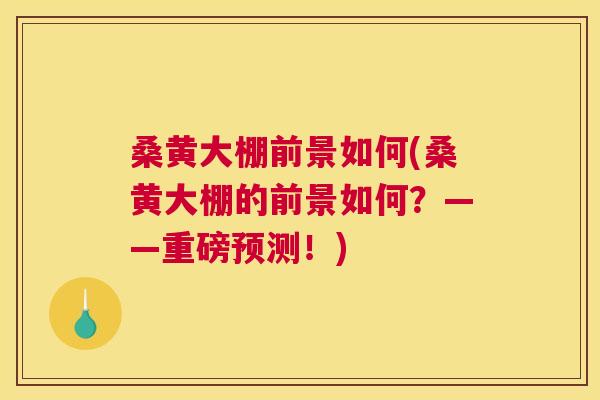 桑黄大棚前景如何(桑黄大棚的前景如何?——重磅预测!) 桑黄大棚前景如何(桑黄大棚的前景如何?——重磅预测!)