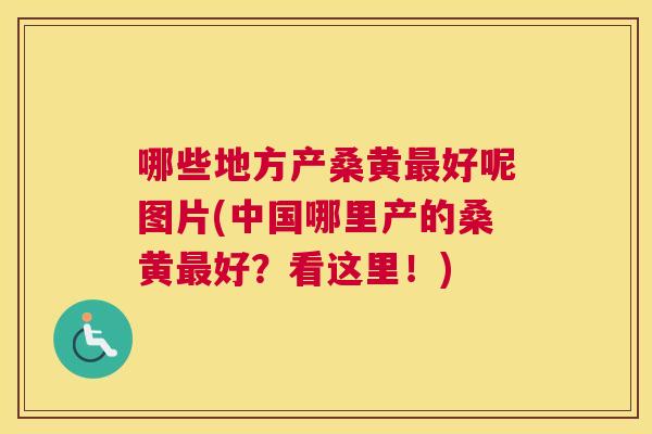 哪些地方产桑黄好呢图片(中国哪里产的桑黄好?看这里!) 哪些地方产桑黄好呢图片(中国哪里产的桑黄好?看这里!)