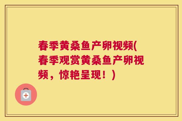 春季黄桑鱼产卵视频(春季观赏黄桑鱼产卵视频,惊艳呈现!) 春季黄桑鱼产卵视频(春季观赏黄桑鱼产卵视频,惊艳呈现!)