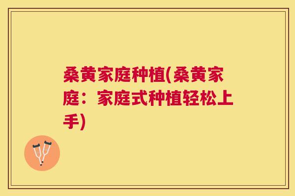 桑黄家庭种植(桑黄家庭：家庭式种植轻松上手)