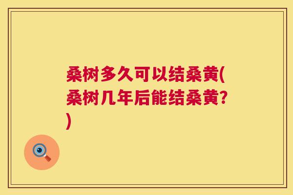 桑树多久可以结桑黄(桑树几年后能结桑黄?) 桑树多久可以结桑黄(桑树几年后能结桑黄?)