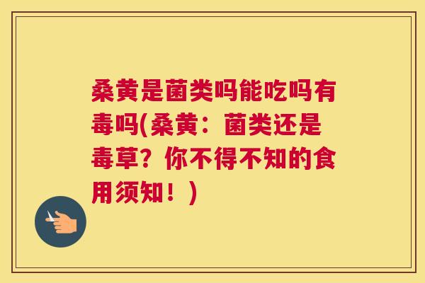 桑黄是菌类吗能吃吗有毒吗(桑黄:菌类还是毒草?你不得不知的食用须知!) 桑黄是菌类吗能吃吗有毒吗(桑黄:菌类还是毒草?你不得不知的食用须知!)