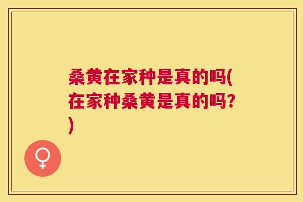 桑黄在家种是真的吗(在家种桑黄是真的吗?) 桑黄在家种是真的吗(在家种桑黄是真的吗?)