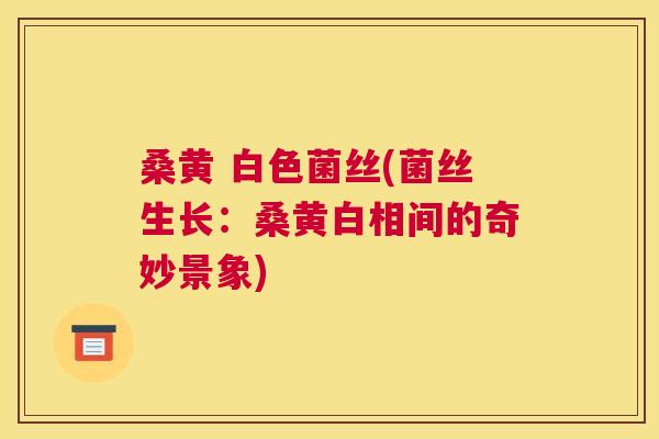 桑黄 白色菌丝(菌丝生长:桑黄白相间的奇妙景象) 桑黄 白色菌丝(菌丝生长:桑黄白相间的奇妙景象)