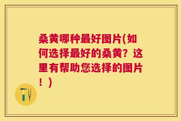 桑黄哪种好图片(如何选择好的桑黄?这里有帮助您选择的图片!) 桑黄哪种好图片(如何选择好的桑黄?这里有帮助您选择的图片!)