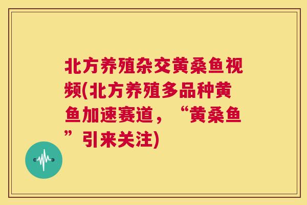 北方养殖杂交黄桑鱼视频(北方养殖多品种黄鱼加速赛道,“黄桑鱼”引来关注) 北方养殖杂交黄桑鱼视频(北方养殖多品种黄鱼加速赛道,“黄桑鱼”引来关注)