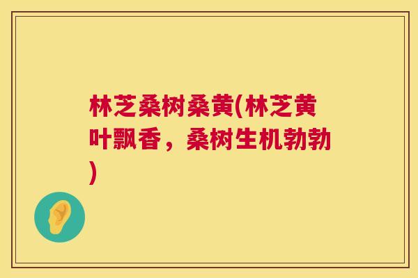 林芝桑树桑黄(林芝黄叶飘香,桑树生机勃勃) 林芝桑树桑黄(林芝黄叶飘香,桑树生机勃勃)