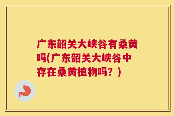 广东韶关大峡谷有桑黄吗(广东韶关大峡谷中存在桑黄植物吗?) 广东韶关大峡谷有桑黄吗(广东韶关大峡谷中存在桑黄植物吗?)