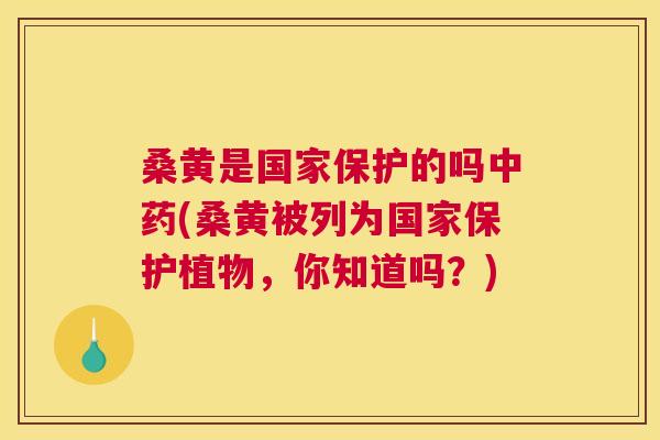 桑黄是国家保护的吗(桑黄被列为国家保护植物,你知道吗?) 桑黄是国家保护的吗(桑黄被列为国家保护植物,你知道吗?)