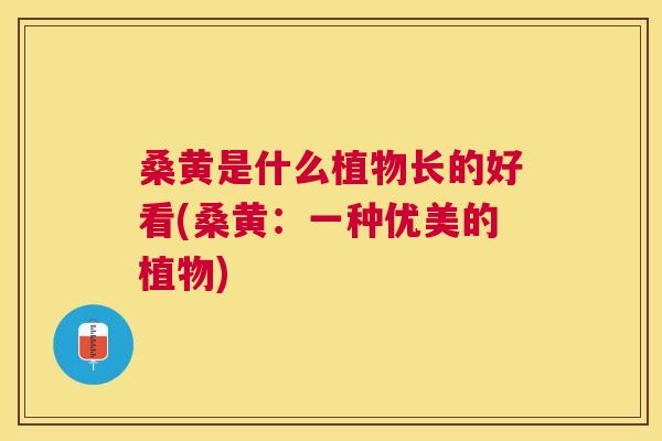 桑黄是什么植物长的好看(桑黄:一种优美的植物) 桑黄是什么植物长的好看(桑黄:一种优美的植物)