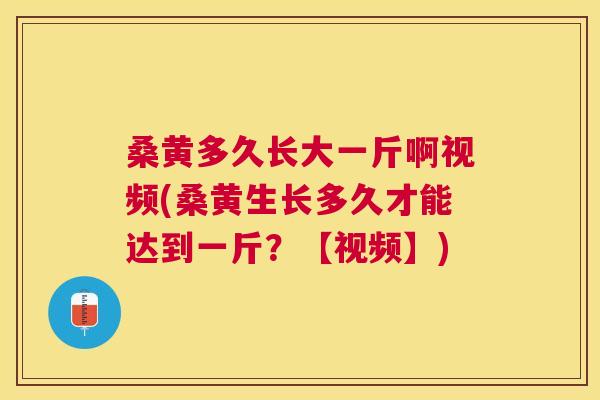 桑黄多久长大一斤啊视频(桑黄生长多久才能达到一斤?【视频】) 桑黄多久长大一斤啊视频(桑黄生长多久才能达到一斤?【视频】)