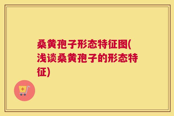 桑黄孢子形态特征图(浅谈桑黄孢子的形态特征) 桑黄孢子形态特征图(浅谈桑黄孢子的形态特征)