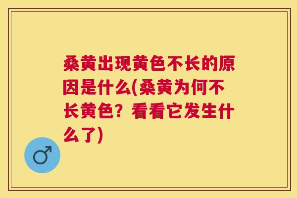 桑黄出现黄色不长的原因是什么(桑黄为何不长黄色？看看它发生什么了)
