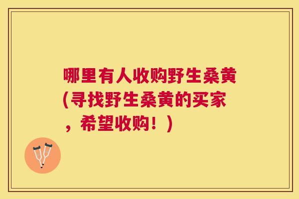 哪里有人收购野生桑黄(寻找野生桑黄的买家,希望收购!) 哪里有人收购野生桑黄(寻找野生桑黄的买家,希望收购!)